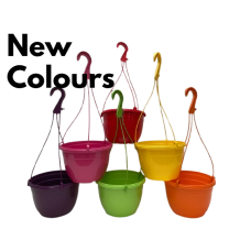 6 x 20CM PLASTIC HANGING BASKETS [VARIOUS COLOURS]